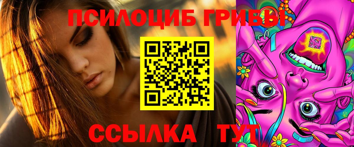 Галлюциногенные грибы GOLDEN TEACHER  купить  цена  Узловая  Вход с VPN  Галлюциногенные грибы Magic Shrooms 