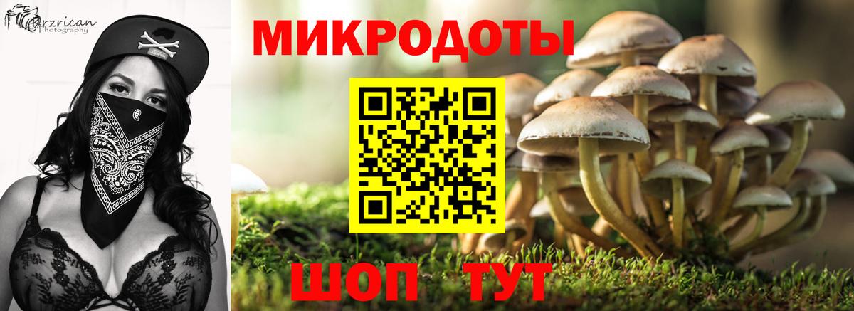 Галлюциногенные грибы Psilocybine cubensis Узловая